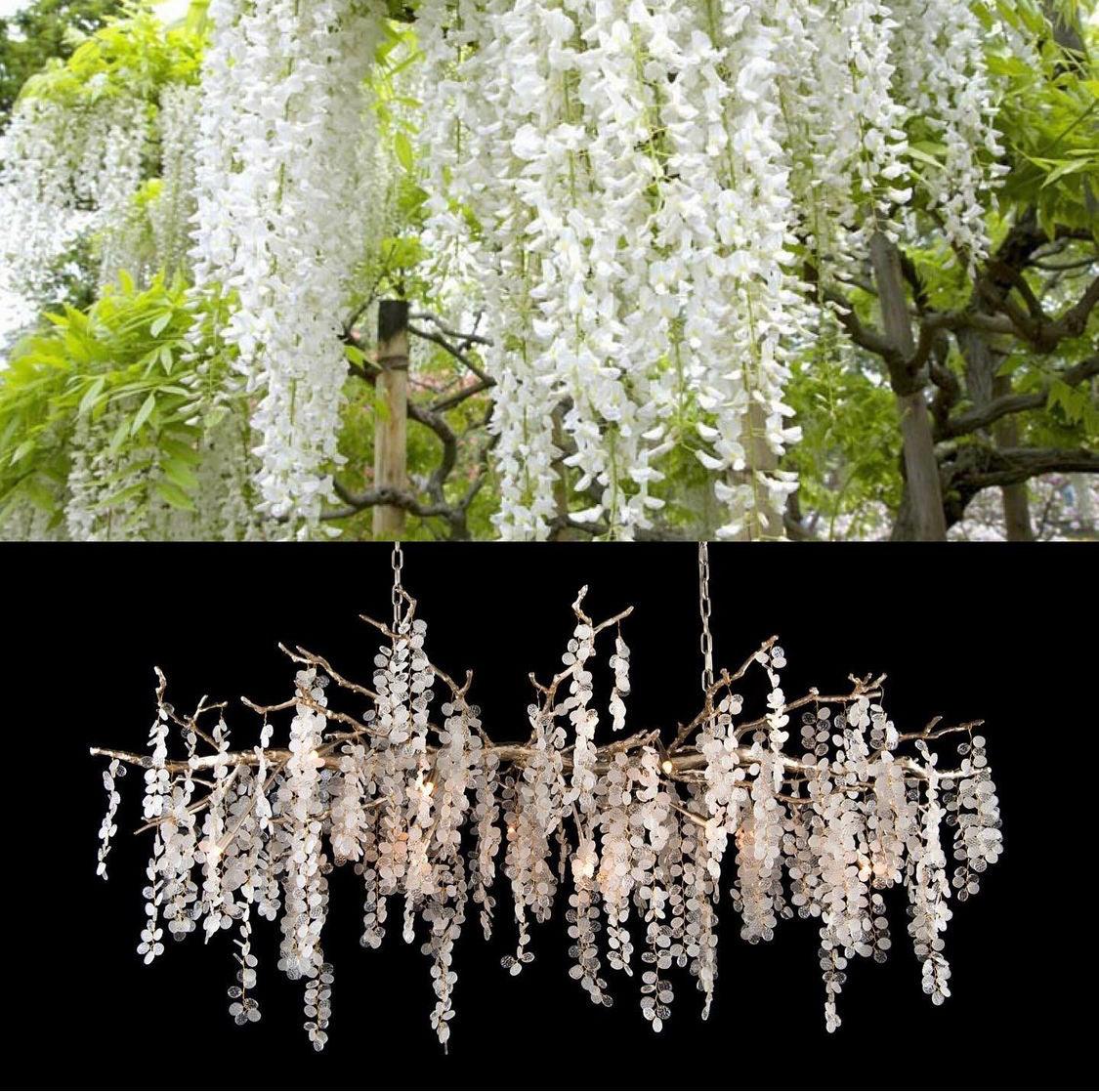Shiro Noda Crystal Chandelier - Elegant Design with Adjustable Height