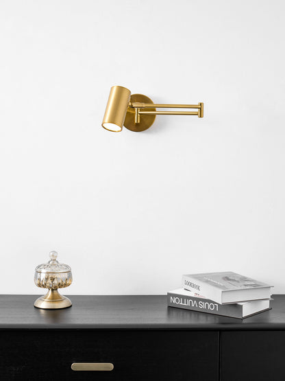 Adjustable Swing Arm Wall Sconce with LED Light and Modern Design