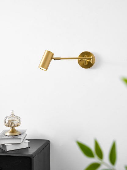 Adjustable Swing Arm Wall Sconce with LED Light and Modern Design