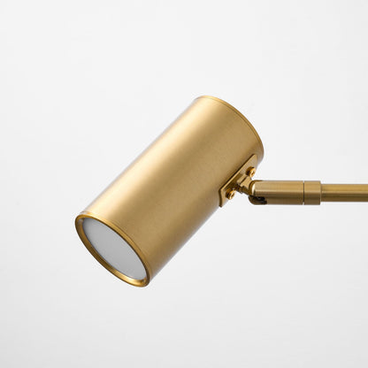 Adjustable Swing Arm Wall Sconce with LED Light and Modern Design