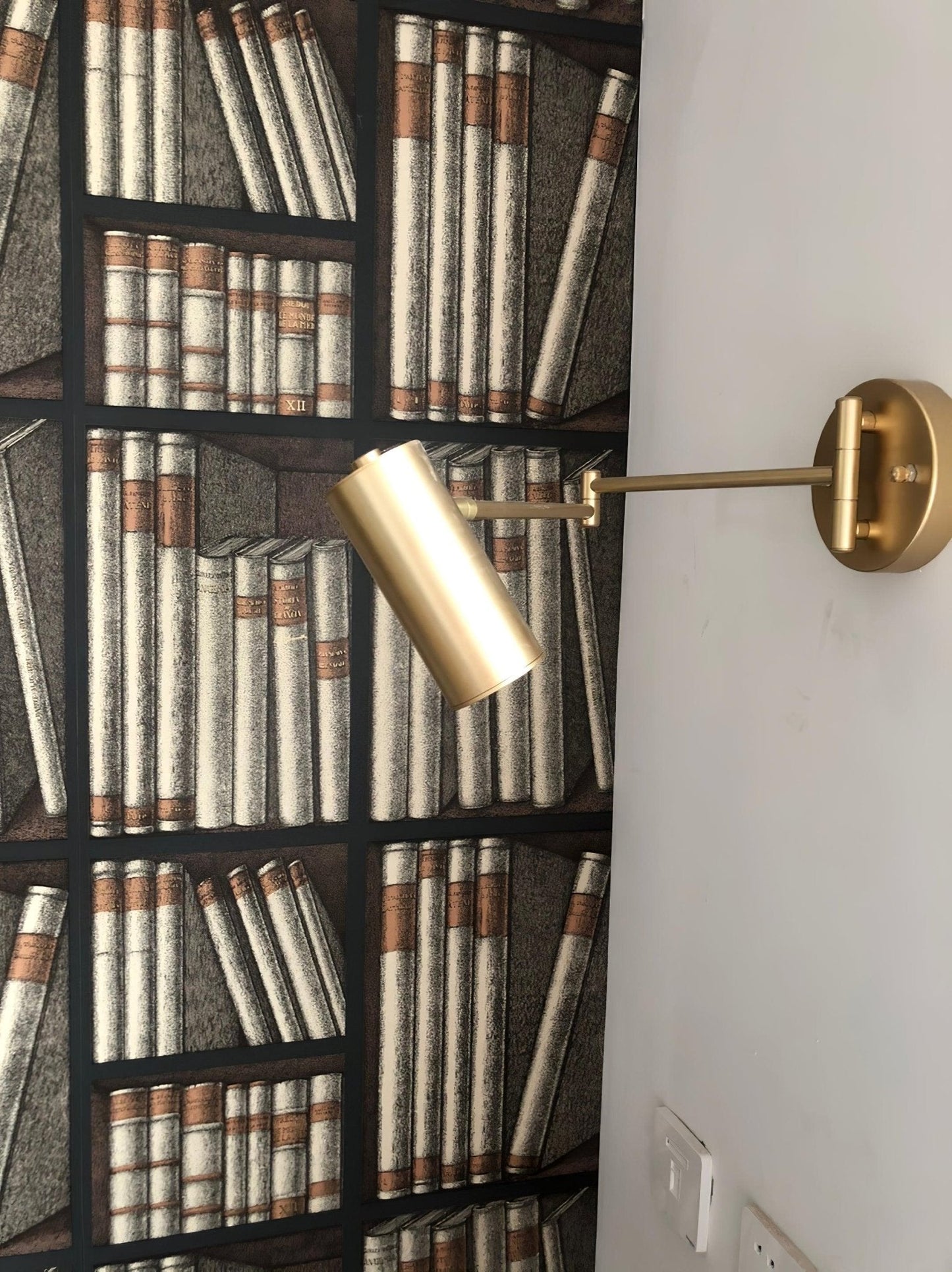 Adjustable Swing Arm Wall Sconce with LED Light and Modern Design