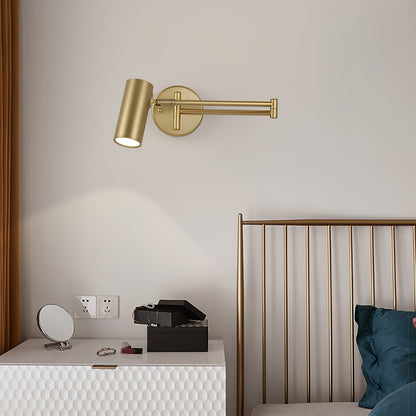 Adjustable Swing Arm Wall Sconce with LED Light and Modern Design