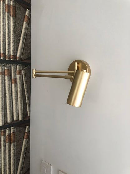 Adjustable Swing Arm Wall Sconce with LED Light and Modern Design