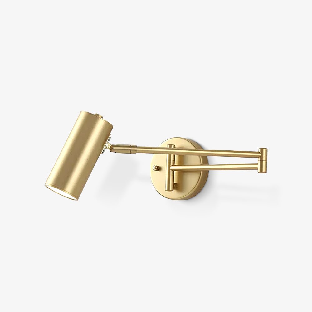 Adjustable Swing Arm Wall Sconce with LED Light and Modern Design