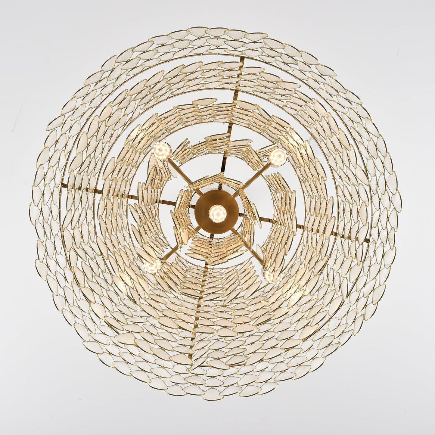 Elegant Teardrop Shell Chandelier - Dimmable, Adjustable Height