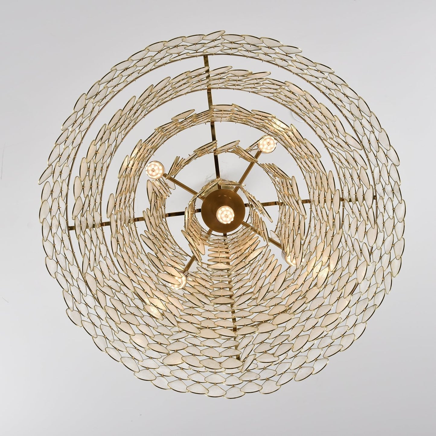 Elegant Teardrop Shell Chandelier - Dimmable, Adjustable Height