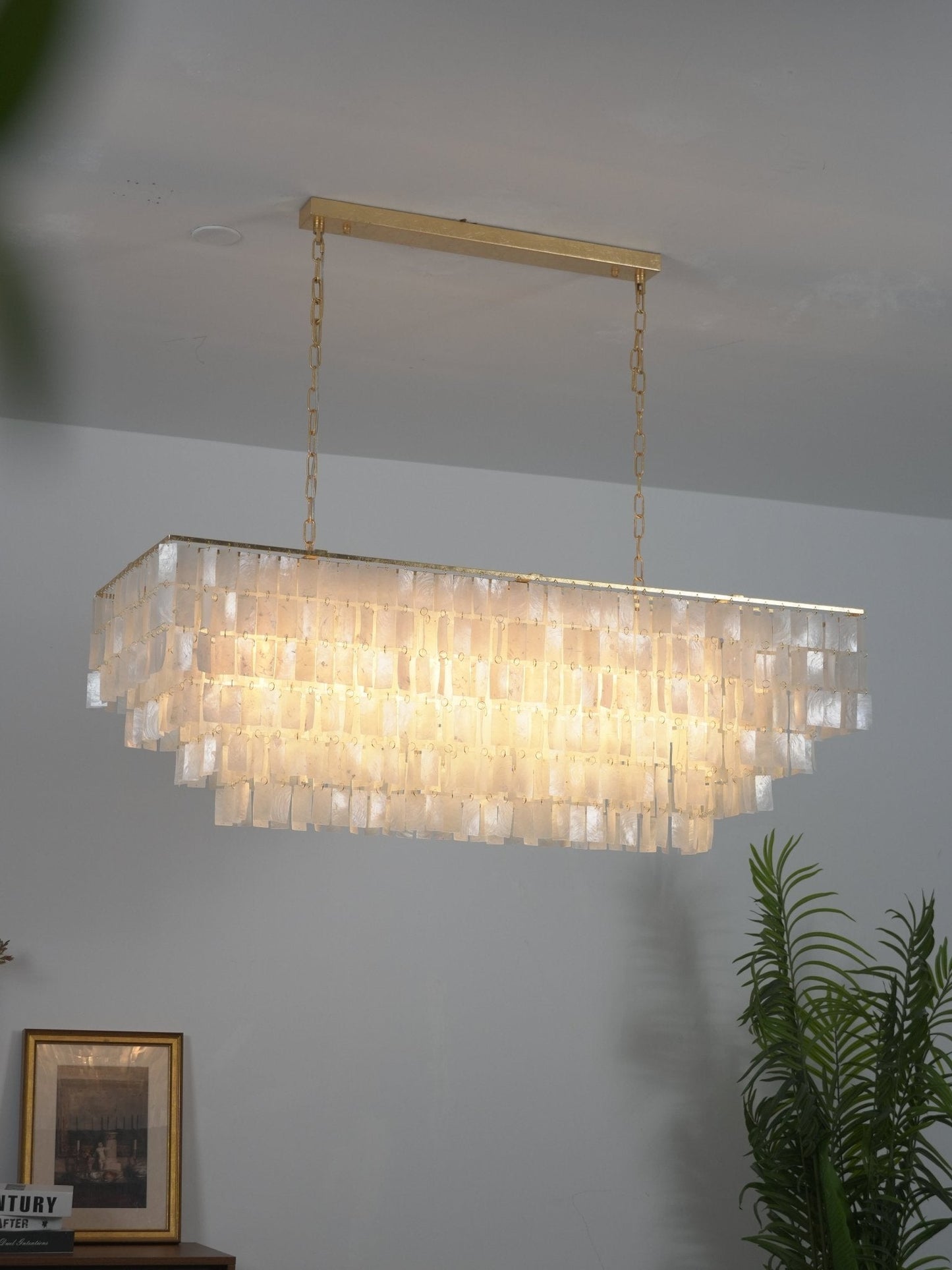 Elegant Round Shell Chandelier with Adjustable Height & Soft Lighting